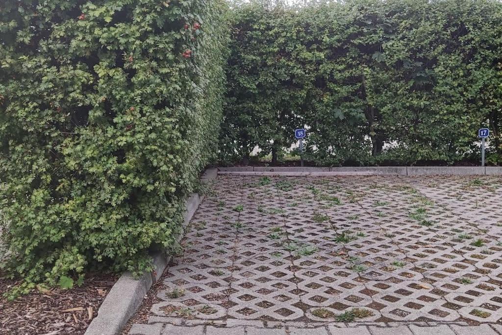 Fewo - Seensucht Am Zwenkauer See Exteriör bild